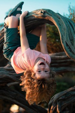 Çocuk ağaca tırmanıyor. Küçük çocuk oynuyor, ağaca tırmanıyor ve baş aşağı asılı duruyor. Parkta oynayan çocuk