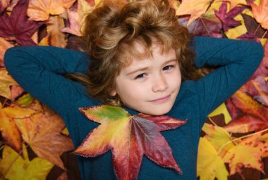 Autumn child with autumn leaves on fall nature background. Portrait of kid with fall leaves outdoor in autumn park