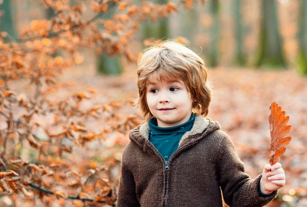Открытый Осенний Ребенок Наслаждающийся Природой Портрет Детей Смешным Лицом Желтых — стоковое фото