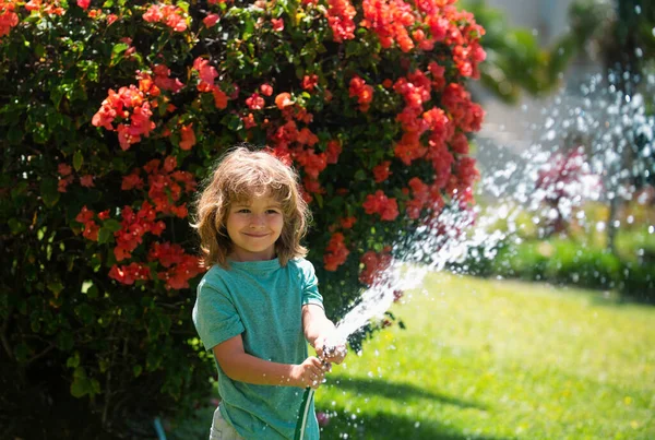 Aadorable Kid Boy Watering Plants Hose Spray Water Hose Garden — Stock Photo, Image