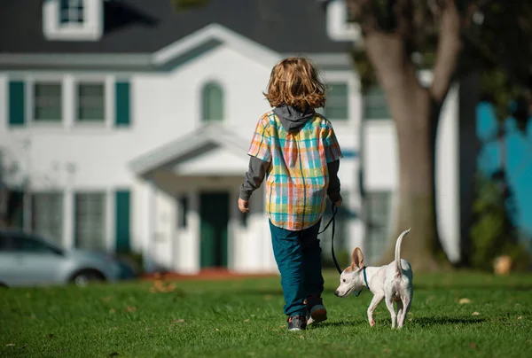 Çocuk Köpek Yavrusuyla Yürüyor Köpekli Bir Çocuk Tasasız Çocukluk — Stok fotoğraf