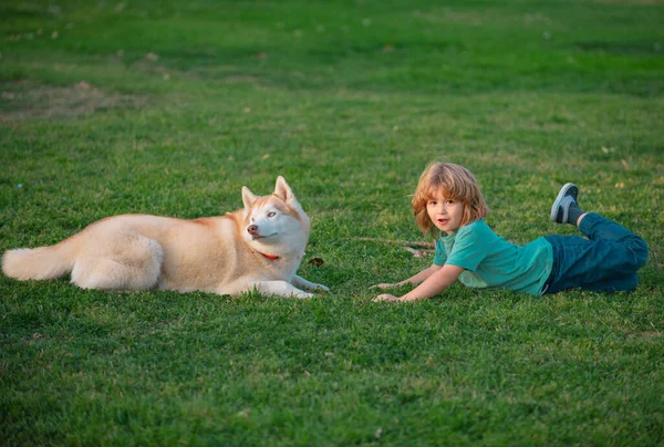 Child Boy Plays Dog Grass Outdoor — Stock Photo, Image