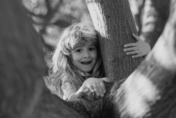 子供の頃のレジャー 幸せな子供たちは木に登り 夏の公園で楽しんでいます 面白い子供たちの顔 子供たちは田舎の自然が好きだ — ストック写真