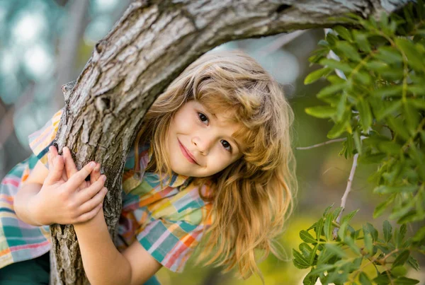 Cute Little Kid Boy Enjoying Climbing Tree Summer Day Kid Stock Photo