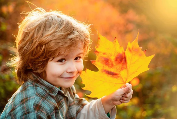 秋天的孩子梦想 做白日梦 抱着秋叶 — 图库照片