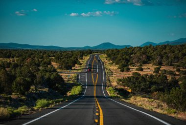 Yaz mevsiminde tarlalar arasında asfalt yol