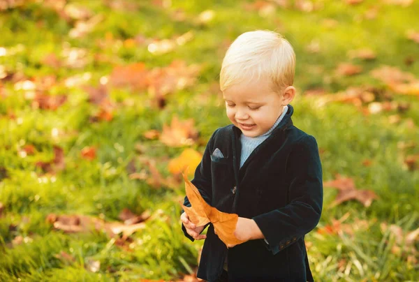 Höstungar Vackert Barn Leker Med Fallna Löv Höstparken — Stockfoto