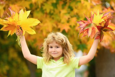 Autumn Child portrait in fall yellow leaves. Little kid boy play with maple leaf in autumnal park outdoor. October season, romantic kids dream