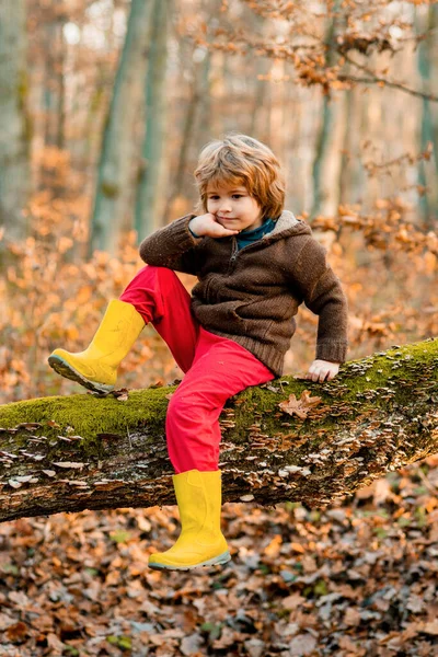 Беззаботное Детство Ребёнок Играет Осеннем Лесу Осень Уходит Улицу Осенний — стоковое фото