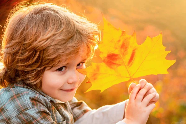 可爱小男孩的秋季肖像特写 秋天的梦孩子们梦想着秋天的自然 童年梦想的概念 做白日梦的孩子梦想和想象 梦幻般的孩子面对 — 图库照片