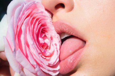 Foreplay blowjob. Sexy girl sucking and licking flower. Blowjob fellation concept. Oral sex. Girl blowjob. Blow job oral sex simulation. Blowjob and sensual oral lick. Sexy female mouth and flower