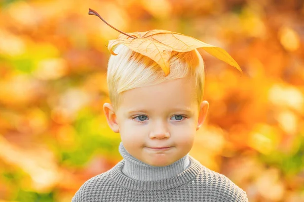 Μικρό Παιδί Κίτρινα Φύλλα Στο Κεφάλι Στο Πάρκο Του Φθινοπώρου — Φωτογραφία Αρχείου