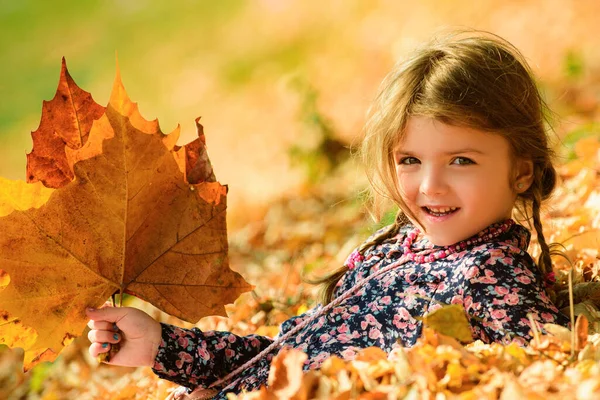 秋天公园里的孩子外面那个可爱小女孩的特写 秋天的梦孩子们梦想着秋天的自然 童年梦想的概念 做白日梦的孩子梦想和想象 梦幻般的孩子面对 — 图库照片