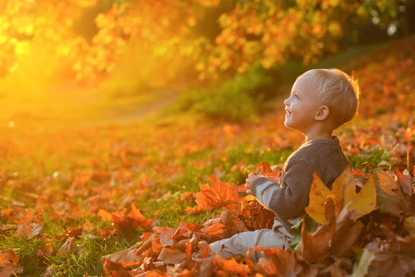 笑笑可爱的小女孩坐在树叶上看着树叶飘落 秋天的梦孩子们梦想着秋天的自然 童年梦想的概念 做白日梦的孩子梦想和想象 — 图库照片