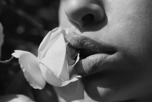 Lippen Mit Lippenstift Nahaufnahme Schöne Frauenlippen Mit Rose Oral Sex — Stockfoto