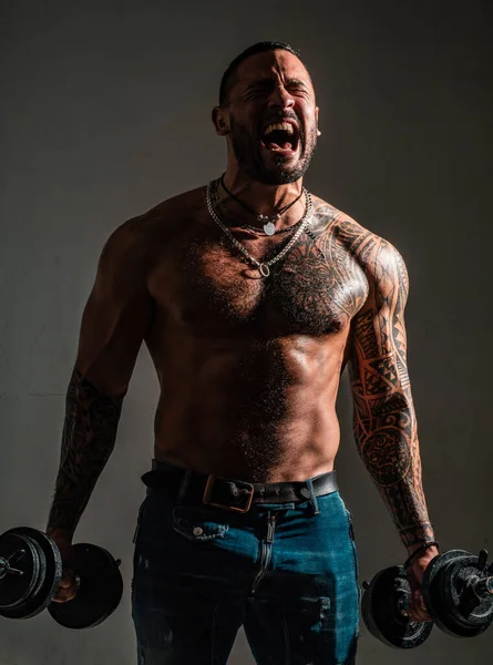 Emocionado Hombre Musculoso Fuerte Torso Deportivo Hombre Con Mancuernas Concepto — Foto de Stock