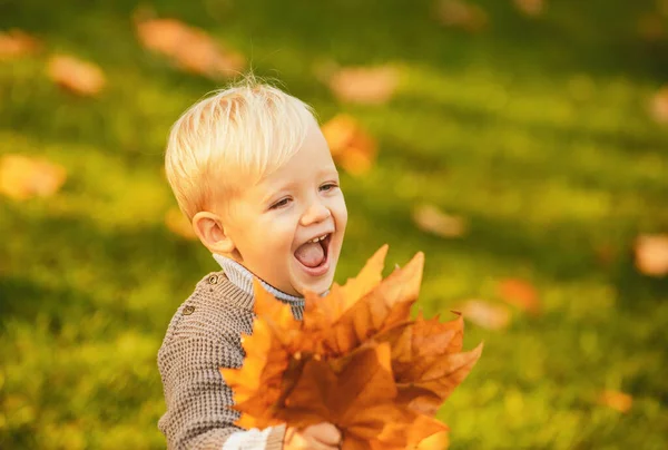 在秋天的公园里玩树叶的孩子兴奋极了 笑着的金发碧眼的孩子在大自然中保持着秋天的叶子 笑笑快乐的孩子的脸 快乐童年的概念 — 图库照片