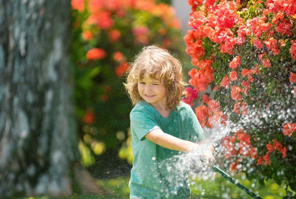 정원에서 호스에서 만들고 아동기 아이들 나무에 있어요 식물을 돌보는 아이들 — 스톡 사진