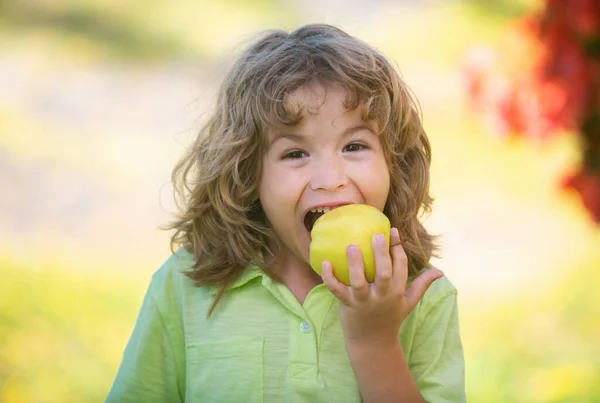 Alimentação Saudável Criança Pequena Feliz Que Segura Maçãs Parque Verde — Fotografia de Stock