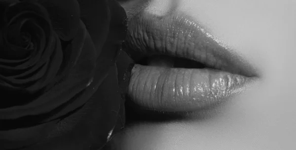 Lippen Van Dichtbij Met Rode Roos Cosmetica Maken Reclame Mooie — Stockfoto