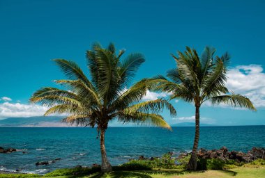 Maui adasında plaj, Aloha Hawaii