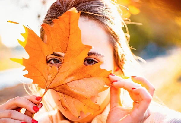 아름다운 나뭇잎으로 얼굴을 감싸고 있습니다 나뭇잎 근처에 아름다운 소녀의 초상화를 — 스톡 사진