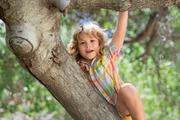 Αστείο Παιδί Σκαρφαλώνει Ένα Δέντρο Στον Κήπο Ενεργό Παιδί Που — Φωτογραφία Αρχείου