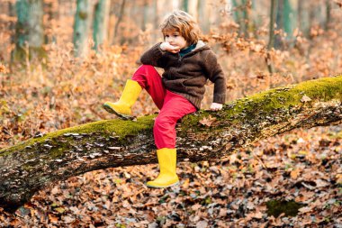 Sonbahar ormanındaki çocuk. Sonbahar rüyası. Çocuk sonbahar doğasında rüya görür. Çocukluk hayali konsepti. Hayalperest çocuk. Hayaller ve hayal gücü. Rüya gibi çocuklar.