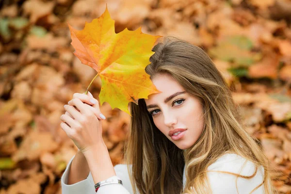 Autumn Vogue Young Stylish Hipster Girl Fall Fashion Autumn Dream — Stock Photo, Image