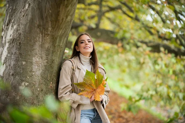 Sonbaharda Güzel Bir Kız Genç Kadın Sonbaharda Sarı Sonbahar Yaprakları — Stok fotoğraf