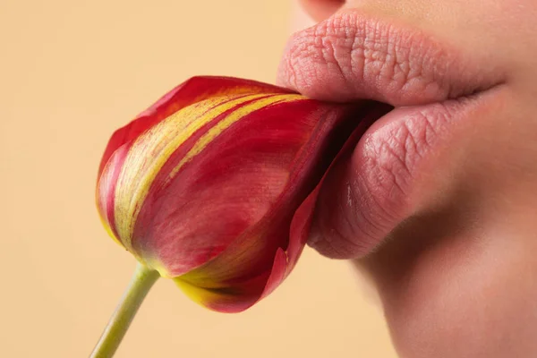 Foreplay Blowjob Sexy Girl Sucking Licking Flower Blowjob Fellation Concept — Photo