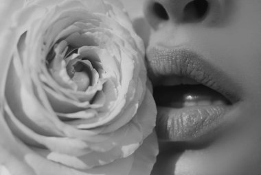 Dudakları rujla yakın plan. Şefkat pembe gül. Dudaklar önemser. Şefkatli kadınlar pembe güllü dudaklar. Şefkatli kadın. Şefkat ve şefkat kavramı. Güllü bir kadın ağzı