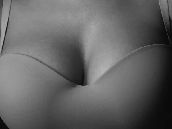 Sexy Large Breasts Woman Breas Boobs Bra Sensual Tits Beautiful — Fotografia de Stock