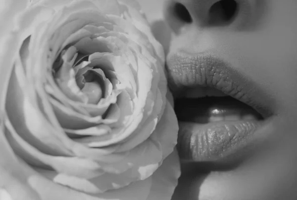 Губы Помадой Крупным Планом Нежность Розовая Роза Губы Заботятся Нежность — стоковое фото