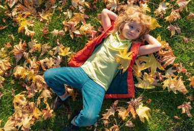 Kids play in autumn park. Children portrait with yellow leaves. Child boy with oak and maple leaf outdoor. Fall foliage. Kid boy lying on ground or grass and fallen leaves in autumn park