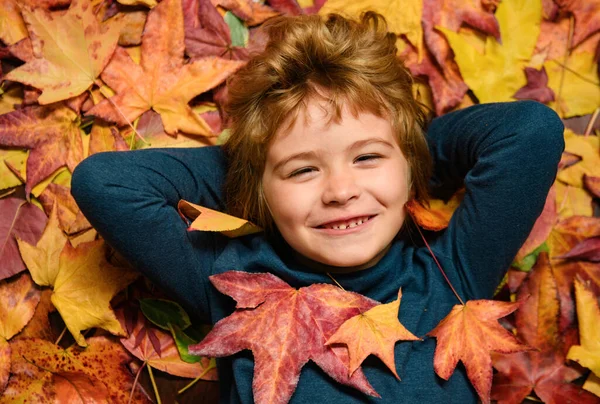 Child Portrait Close Kid Lying Autumn Leaves Children Portrait Yellow — 图库照片