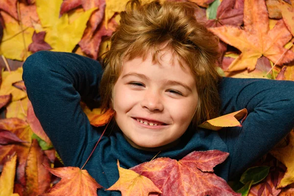 小孩的肖像近在咫尺 小孩躺在秋天的树叶里 秋天的梦孩子们梦想着秋天的自然 童年梦想的概念 做白日梦的孩子梦想和想象 梦幻般的孩子面对 — 图库照片