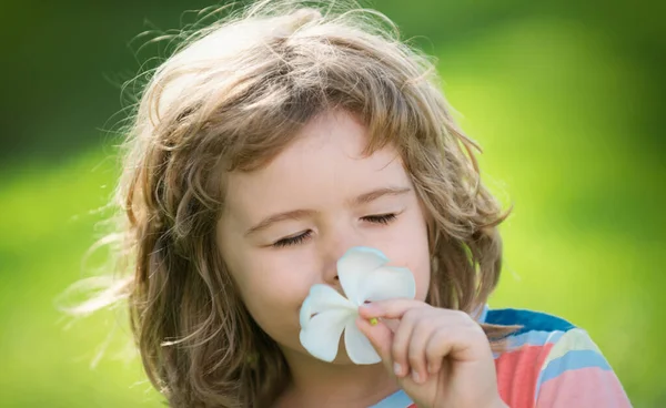 Fechar Rosto Criança Bonito Livre Engraçado Criança Cheirando Flor Plumeria — Fotografia de Stock