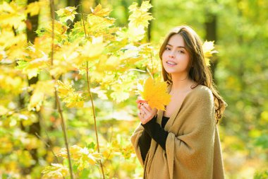 Sonbahar yapraklı güzel bir kadının açık hava moda fotoğrafı.