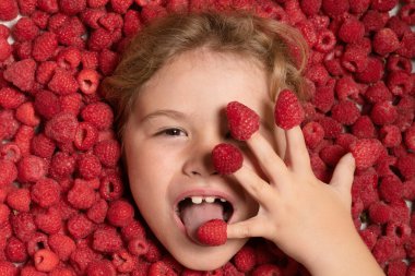 Ahududulu mutlu çocuk suratı. Çocuk ahududu topluyor. Çocuklar organik ahududu çiftliğinde taze meyve topluyor. Çocuklar bahçeyle uğraşıp böğürtlen topluyor.