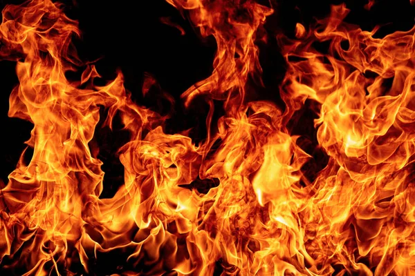 Fire Flame Burn Lights Black Background — Stock Photo, Image