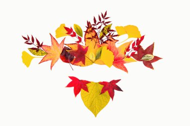 Autumn frame for design banners, leaflets, posters with space for text. Autumn leaves background. Autumn fall frames borders. Fall leaf banner. Frame for sale. Thanksgiving background, fall design