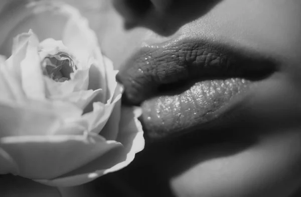 Gepassioneerde Rode Lippen Van Dichtbij Mooie Vrouw Lippen Met Roos — Stockfoto