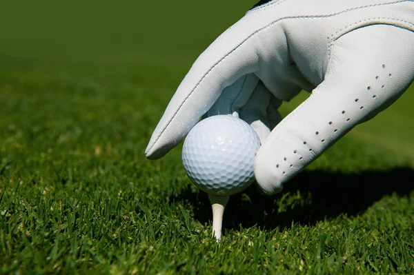 把高尔夫球关在绿草场上 高尔夫俱乐部 手把高尔夫球放在球座上 球座上的高尔夫球随时准备投篮 — 图库照片