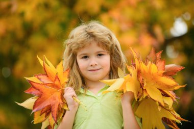 Kids play with autumn fall leaves in park. Children throwing yellow leaves. Child boy hold maple leaf. Fall foliage. Family outdoor fun in autumn. September, back to shool concept