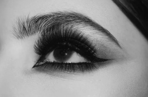 Ojos Con Maquillaje Cerca Primer Plano Del Maquillaje Las Pestañas — Foto de Stock