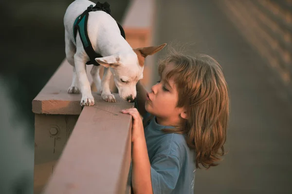 Criança Bonito Com Cachorro Menino Beija Cão Amizade Cuidados Animais — Fotografia de Stock