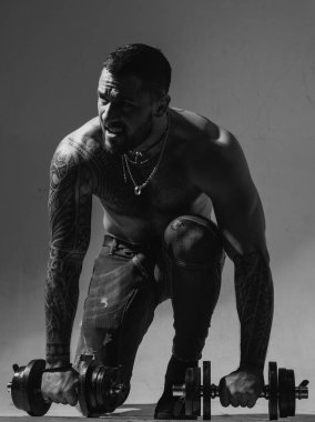 Dambılla egzersiz yapan kaslı adam. Sportif adam çalışıyor. Gri arka planda kaslı gövde. Güç ve motivasyon. Güçlü vücut geliştirici, karın kasları, omuzları, göğüs kasları var.