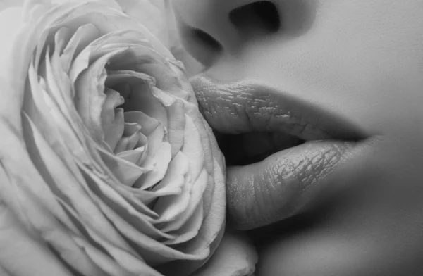 Lips Lipstick Closeup Girl Open Mouths Natural Beauty Lips Beautiful — Stock Photo, Image