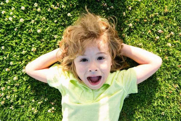 Podekscytowany Dzieciak Leżący Trawie Bliska Głowa Słodkiego Dziecka Letnim Parku — Zdjęcie stockowe